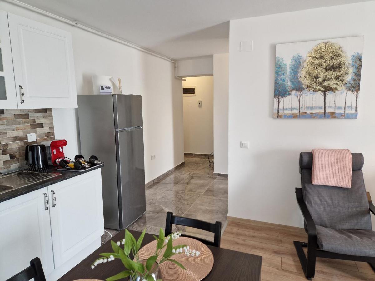 Star Airport Residence Отопени Экстерьер фото